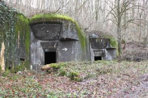 Ligne Maginot - 113 - OLTINGUE - (Casemate d'artillerie) - Vue générale de la casemate