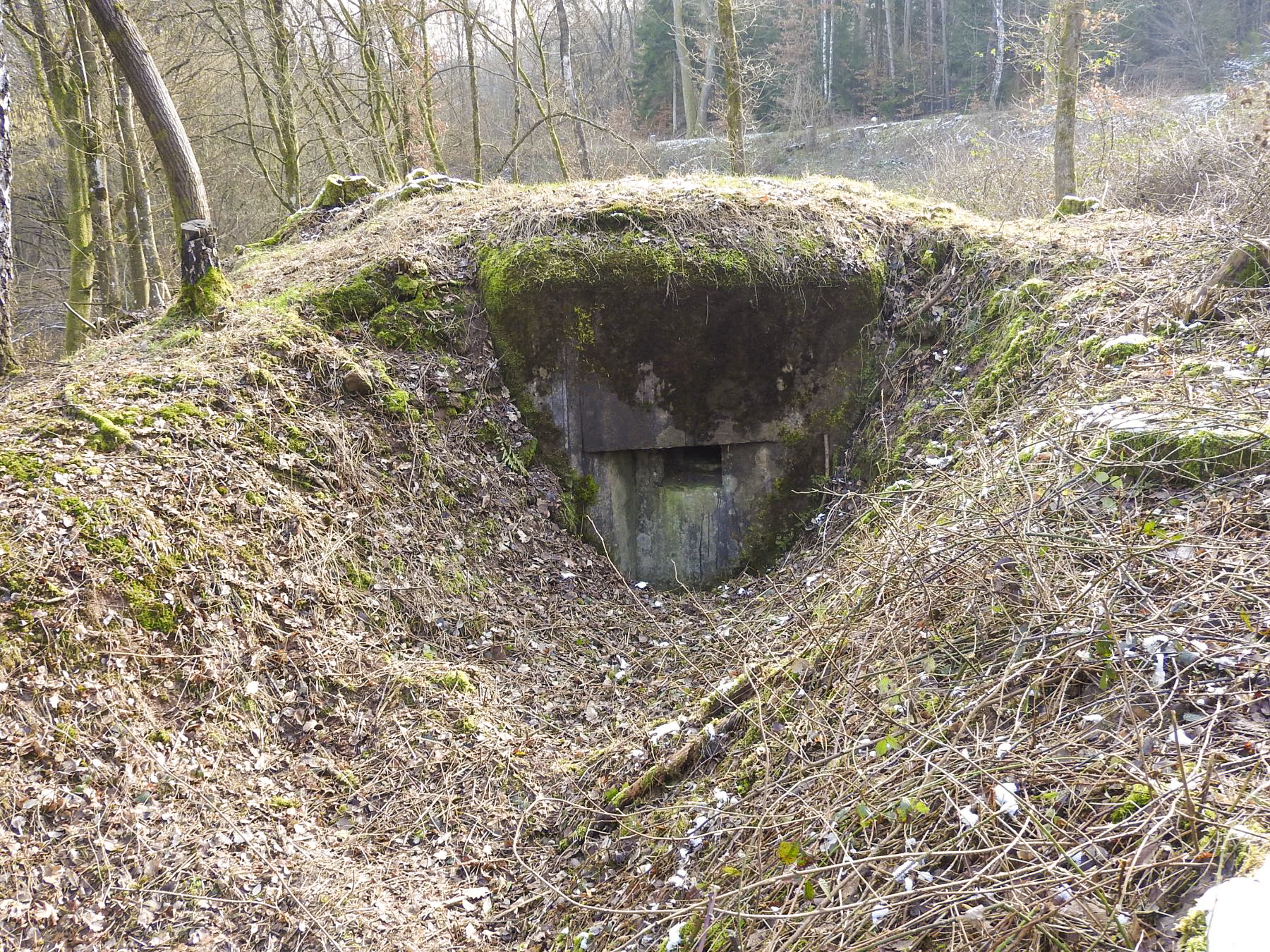 Ligne Maginot - LANGENACKER OUEST - (Blockhaus pour arme infanterie) - Le créneaux de tir vers l'ouest