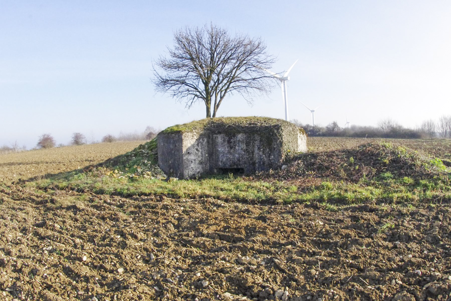 Ligne Maginot - EINSELING NORD - (Blockhaus pour arme infanterie) - 