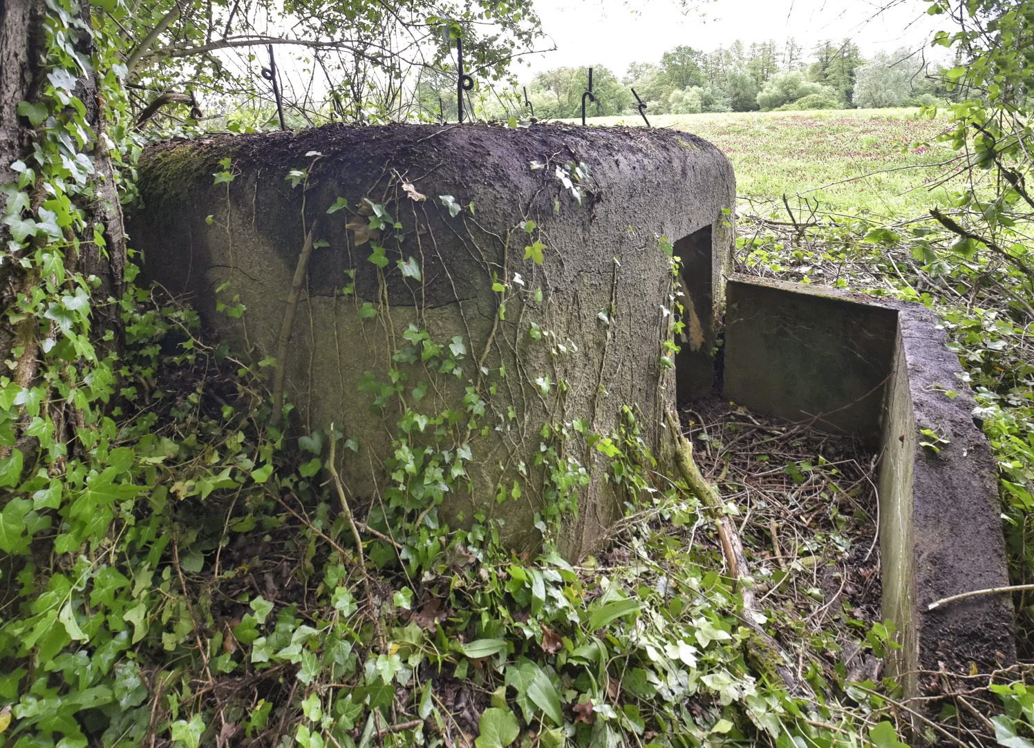 Ligne Maginot - BARRWALD EST - (Blockhaus pour arme infanterie) - 
